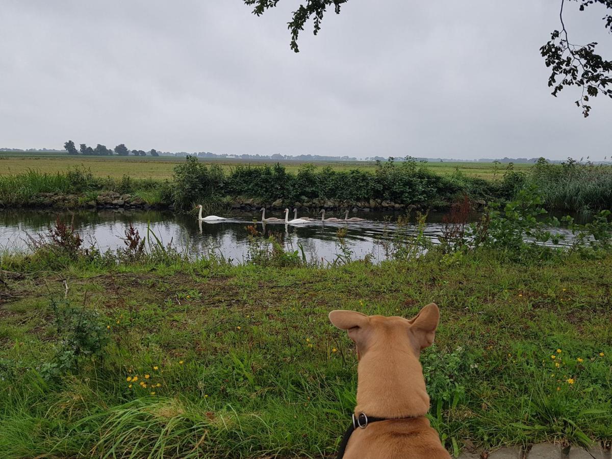 Drenths Landgoed, Welkom Thuis Annerveenschekanaal Luaran gambar